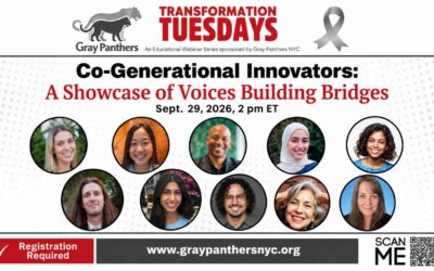 Co-Generational Innovators Webinar Banner